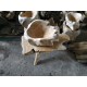 Teak Root Wooden Sinks Teak Root Wooden Sinks